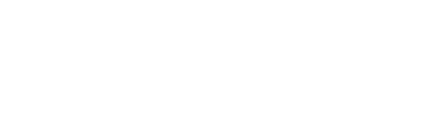 universal unilink